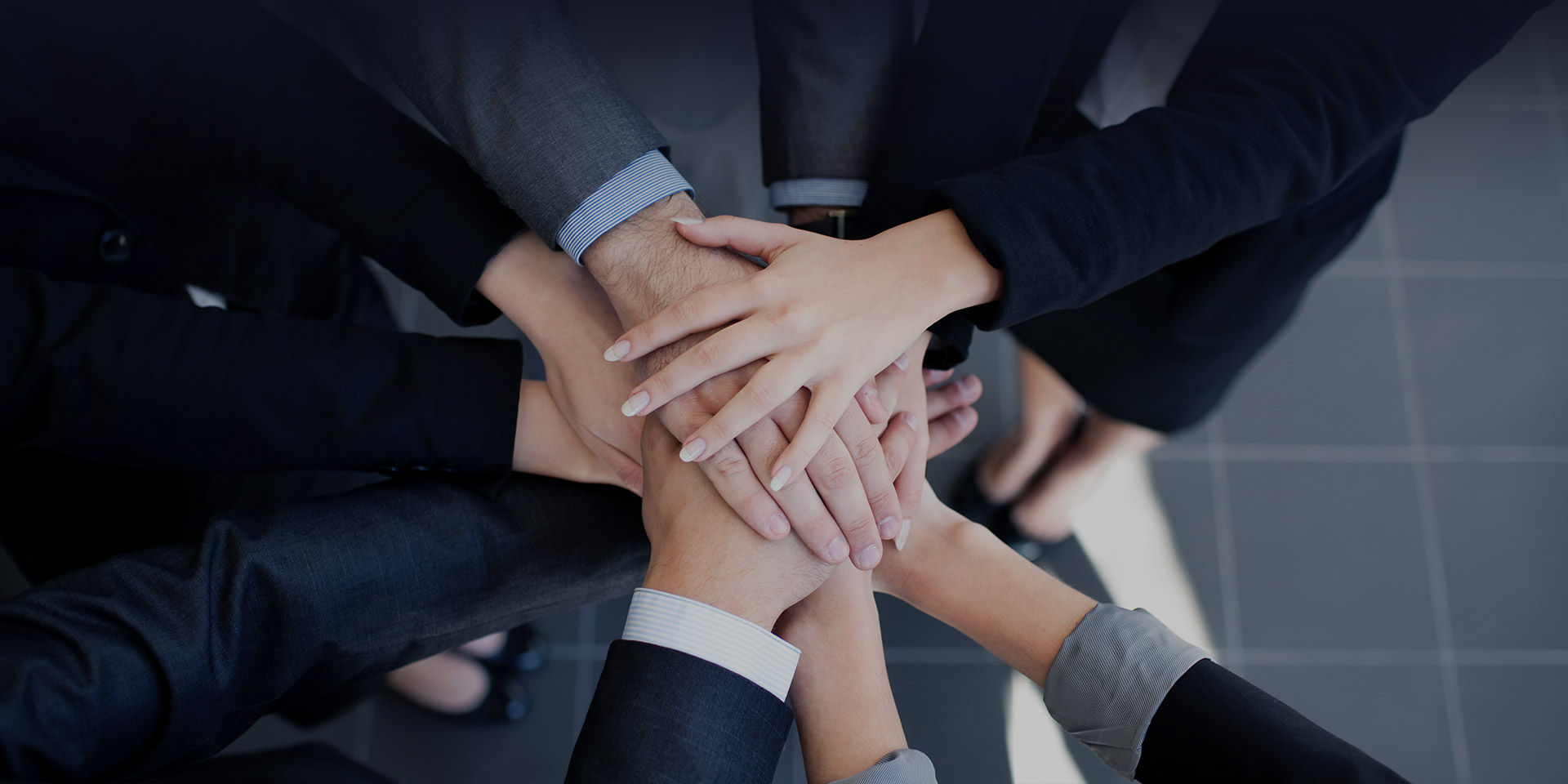  Experienced Team
